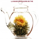 Théière Verre Borosilicate 500 ml, Spéciale Fleurs de Thé