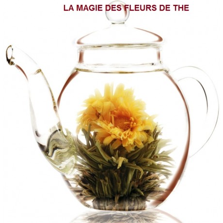 Théière Verre Borosilicate 500 ml, Spéciale Fleurs de Thé