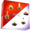 Coffrets 6 fleurs de thé Abloom assorties
