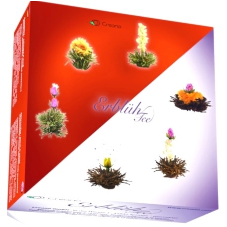 Coffrets 6 fleurs de thé Abloom assorties