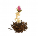 Coffret Noir 6 Fleurs de Thé Noir Abloom, 3 Variétés