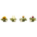 Coffret Bois 12 Fleurs de Thé Blanc Teelini, 4 Varietés