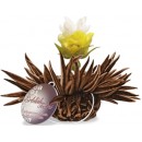 Coffret Noir 6 Fleurs de Thé Noir Teelini, 4 Variétés