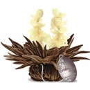 Coffret Noir 6 Fleurs de Thé Noir Teelini, 4 Variétés