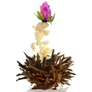 Fleur Abloom 72 Thé Noir Vrac