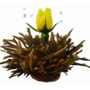 Fleur Abloom 72 Thé Noir Vrac