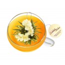 Tasse verre avec couvercle