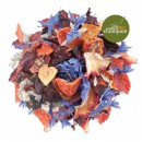 Coffret TEA FORTE Tisanes d'exception dosettes